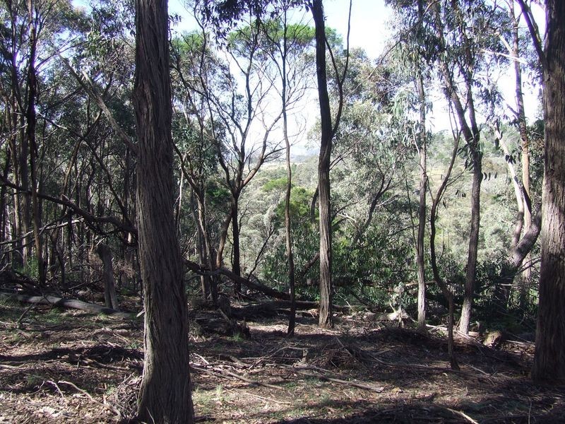 Lot 144 Long Gully Road, Taralga NSW 2580