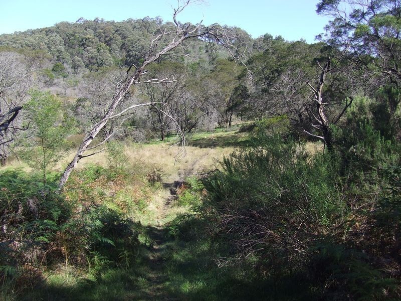 Lot 144 Long Gully Road, Taralga NSW 2580