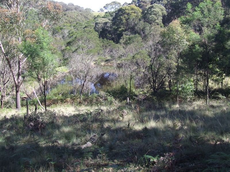 Lot 144 Long Gully Road, Taralga NSW 2580