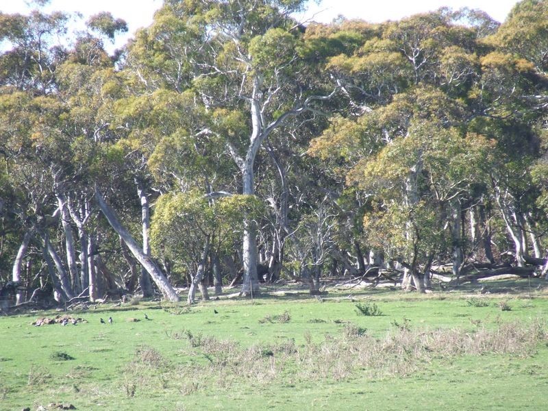 Lots 118 – Gurrundah Road, Gurrundah NSW 2581