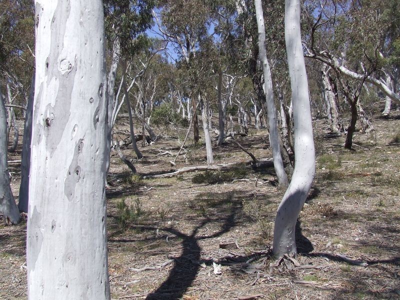 115 Durkin Road, Windellama NSW 2580