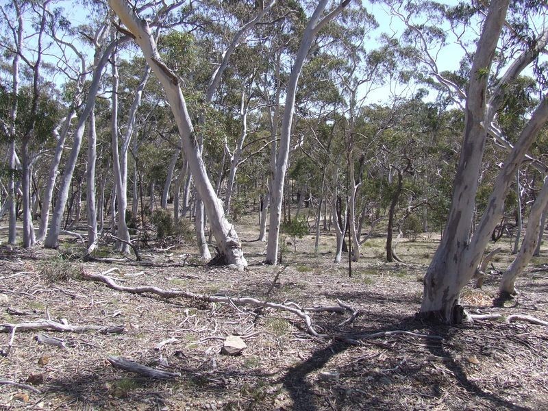 115 Durkin Road, Windellama NSW 2580