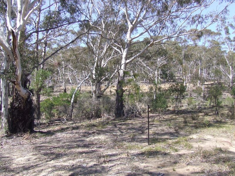 115 Durkin Road, Windellama NSW 2580