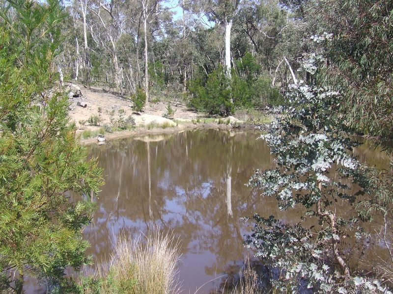 115 Durkin Road, Windellama NSW 2580