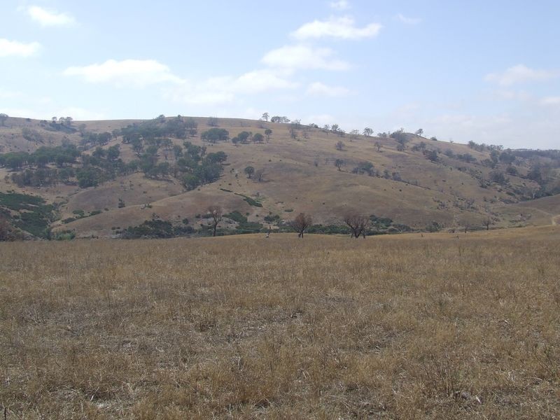183 Glenleigh Road, Golspie NSW 2580