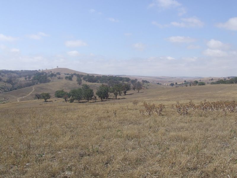 183 Glenleigh Road, Golspie NSW 2580