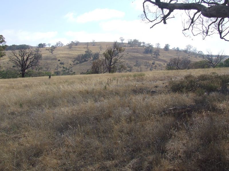 183 Glenleigh Road, Golspie NSW 2580