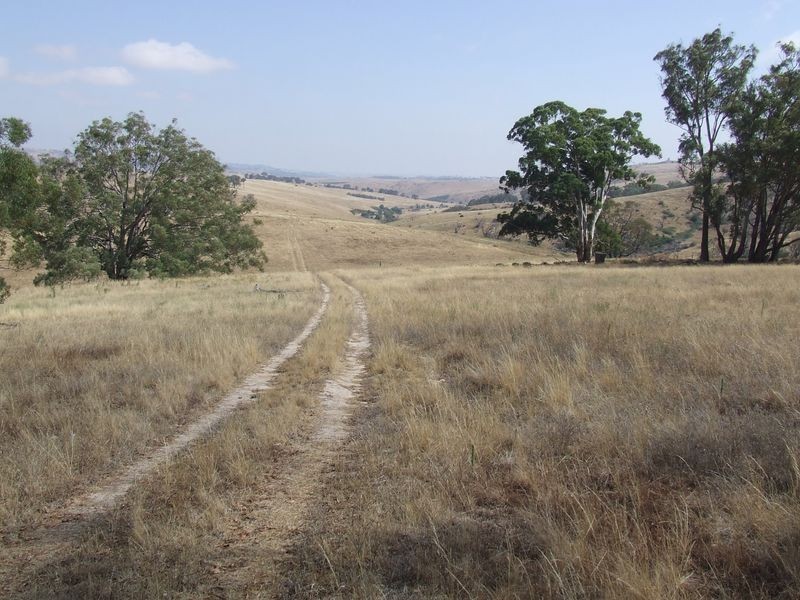 183 Glenleigh Road, Golspie NSW 2580