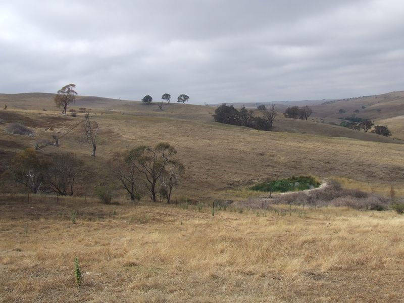 183 Glenleigh Road, Golspie NSW 2580