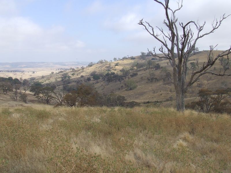 183 Glenleigh Road, Golspie NSW 2580