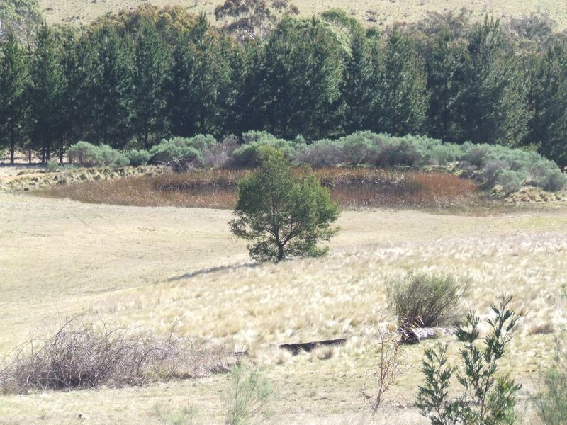 Lots 17 60 Long Gully Road, Taralga NSW 2580