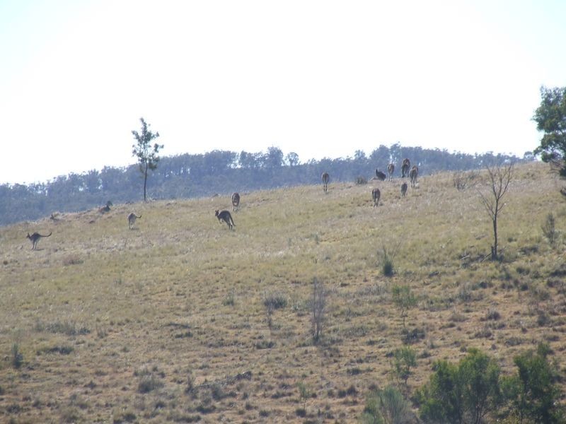 Lots 17 60 Long Gully Road, Taralga NSW 2580