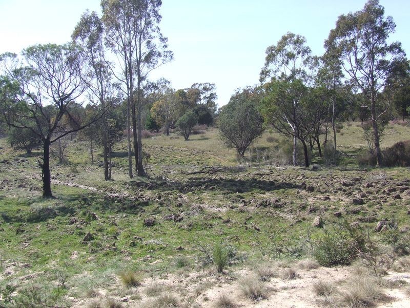 Lot 144 Fernleigh Close, Windellama NSW 2580