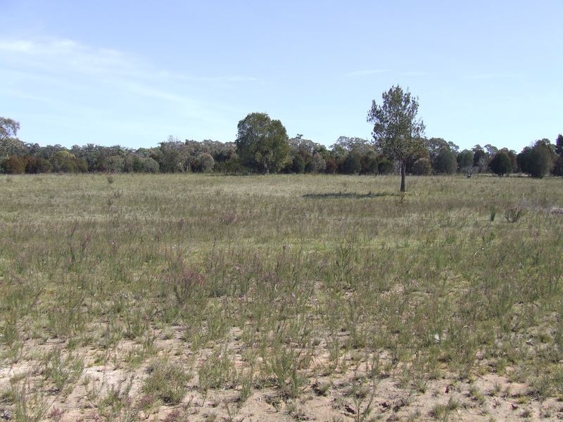 Lot 144 Fernleigh Close, Windellama NSW 2580