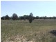 Lot 144 Fernleigh Close, Windellama NSW 2580