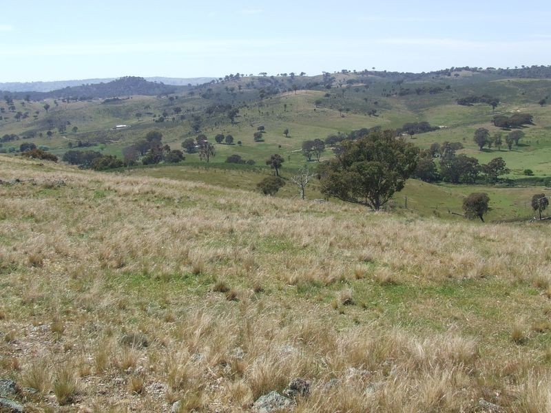 1240 Corringle Lane, Boorowa NSW 2586