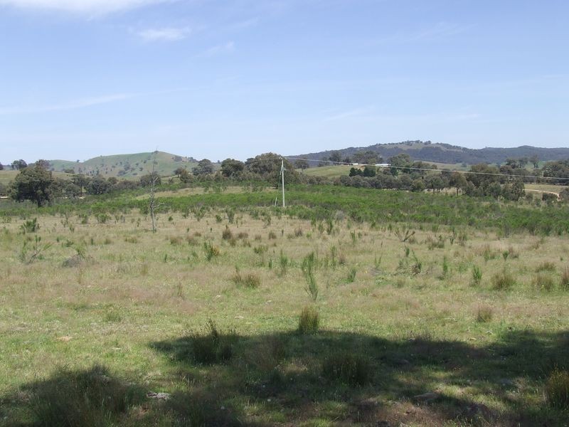 1240 Corringle Lane, Boorowa NSW 2586