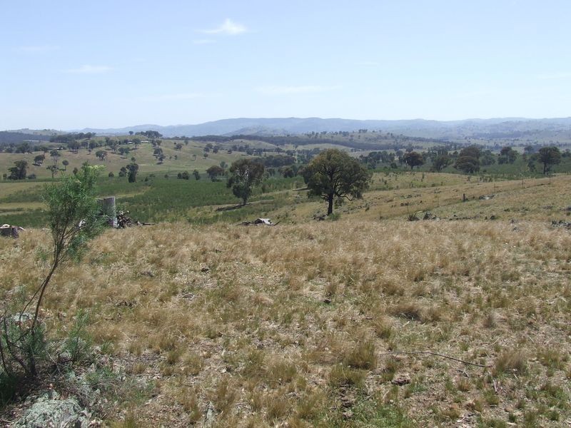 1240 Corringle Lane, Boorowa NSW 2586