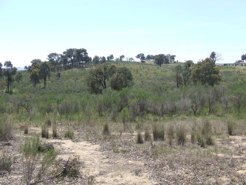 1240 Corringle Lane, Boorowa NSW 2586