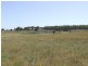 2403 Lumley Road, Lake Bathurst NSW 2580