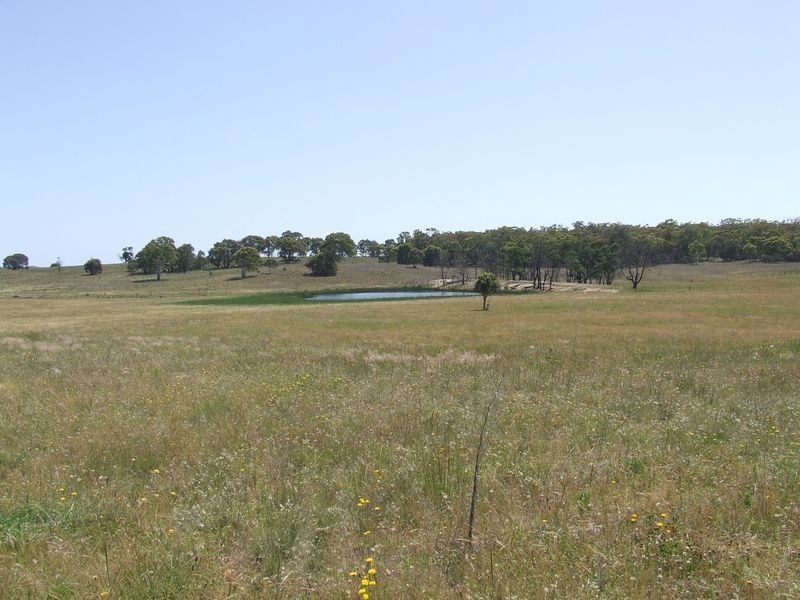 2403 Lumley Road, Lake Bathurst NSW 2580