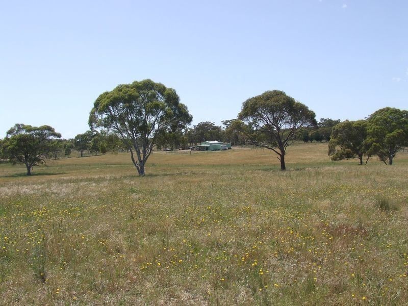 2403 Lumley Road, Lake Bathurst NSW 2580