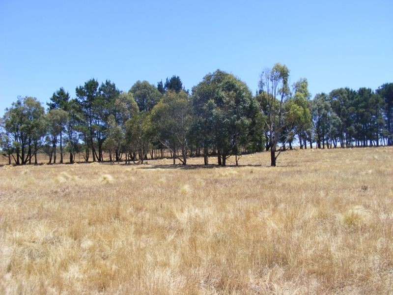 48 Norwood Road, Goulburn NSW 2580