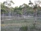 137 Parkwood Lane, Windellama NSW 2580