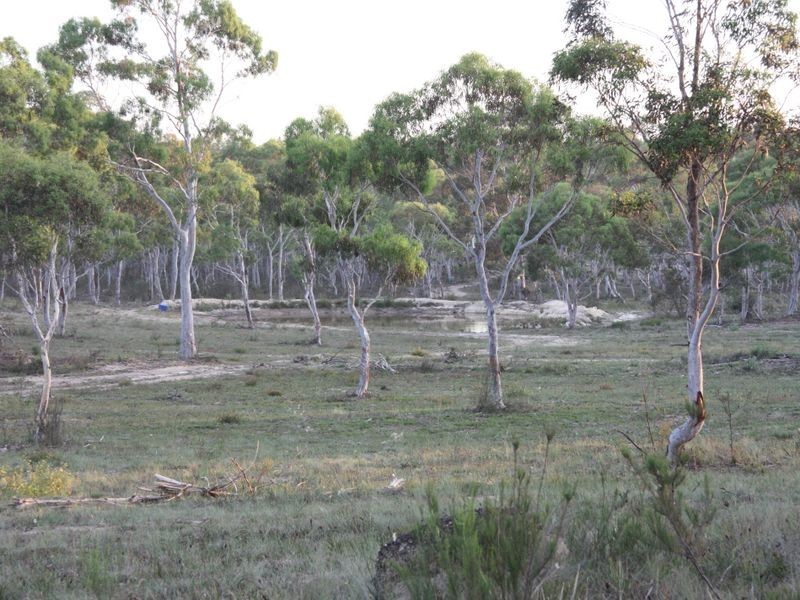 137 Parkwood Lane, Windellama NSW 2580