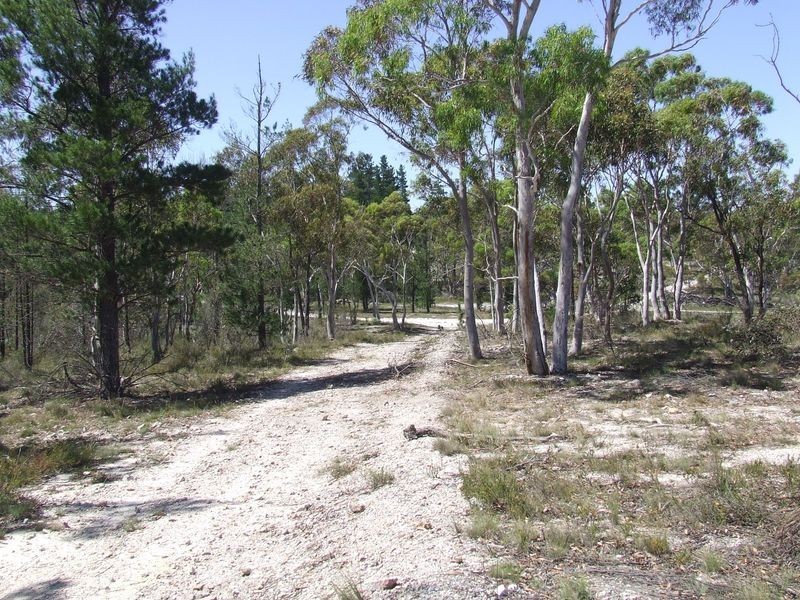 137 Parkwood Lane, Windellama NSW 2580
