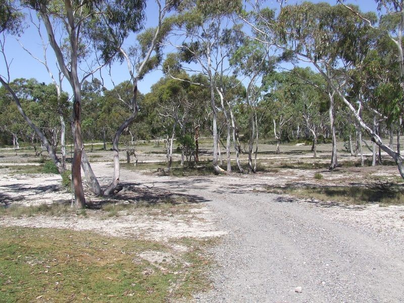 137 Parkwood Lane, Windellama NSW 2580