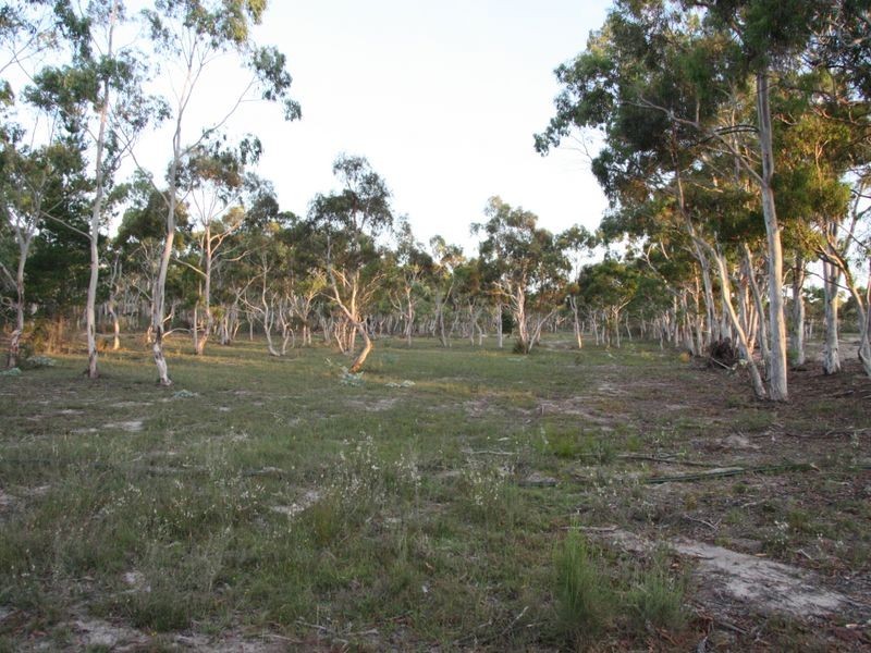 137 Parkwood Lane, Windellama NSW 2580
