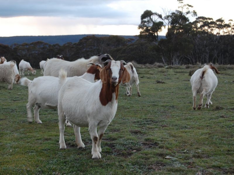 1025 Taralga Road, Goulburn NSW 2580