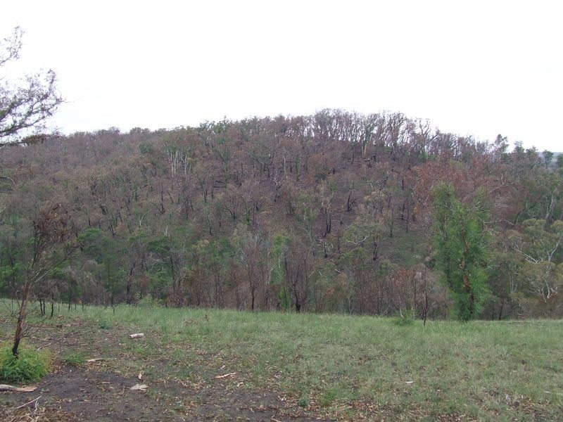 71 Hazeldell Road, Mount Fairy NSW 2580