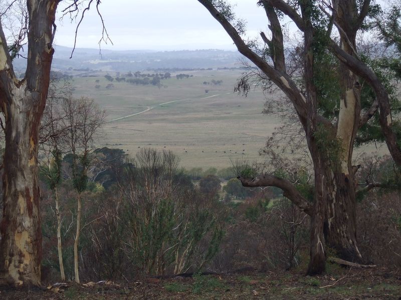 71 Hazeldell Road, Mount Fairy NSW 2580