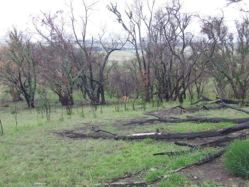 71 Hazeldell Road, Mount Fairy NSW 2580