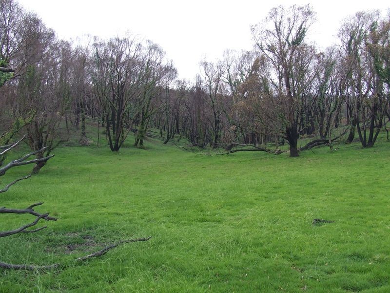 71 Hazeldell Road, Mount Fairy NSW 2580