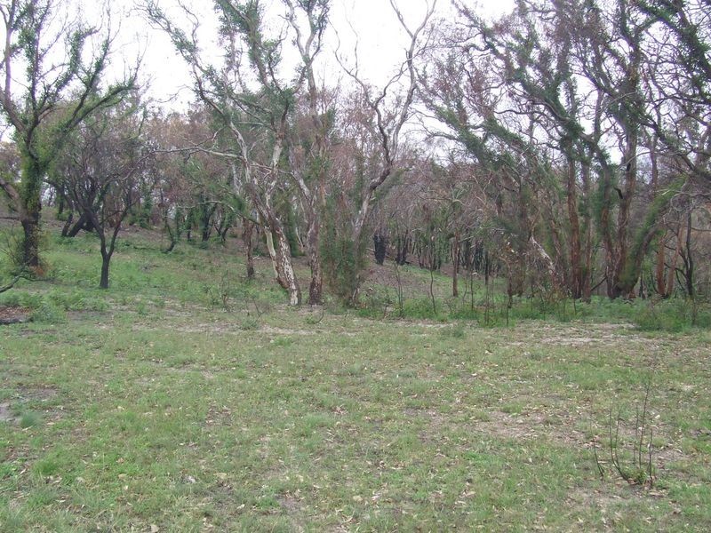 71 Hazeldell Road, Mount Fairy NSW 2580