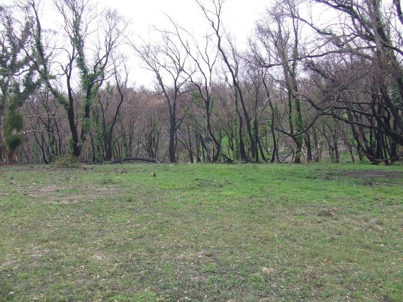 71 Hazeldell Road, Mount Fairy NSW 2580