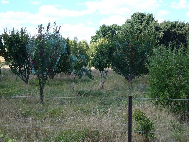 2386 Taylors Flat Road, Boorowa NSW 2586