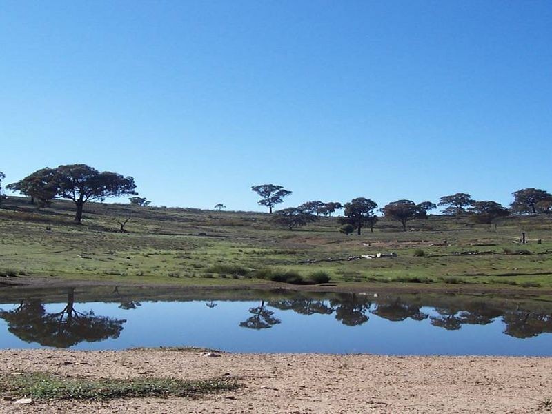 2386 Taylors Flat Road, Boorowa NSW 2586