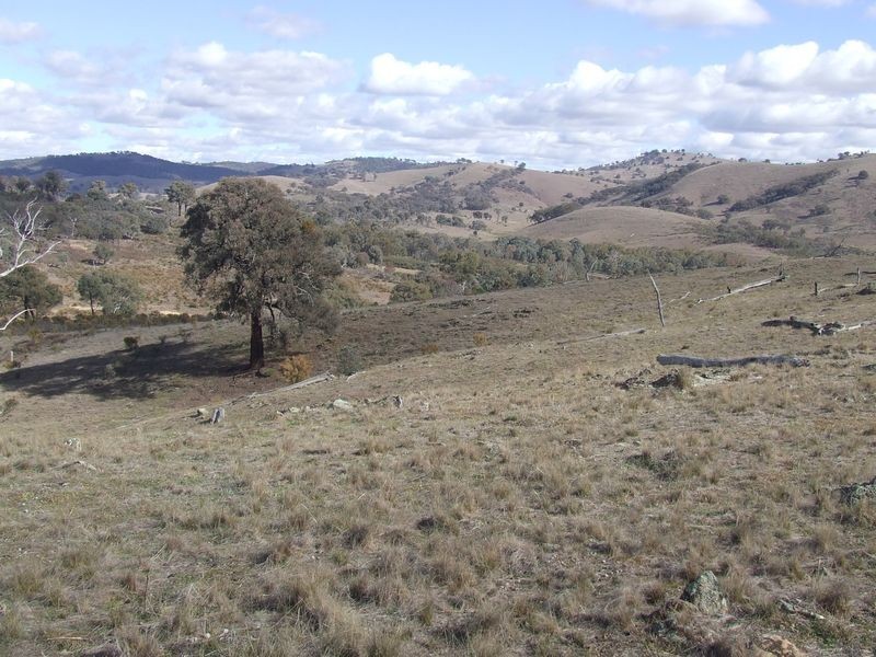 2386 Taylors Flat Road, Boorowa NSW 2586