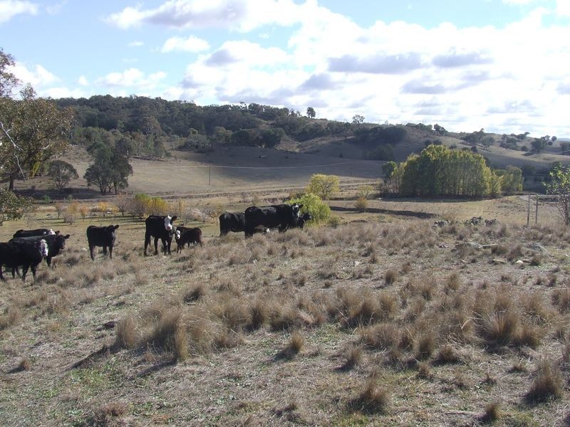 2386 Taylors Flat Road, Boorowa NSW 2586