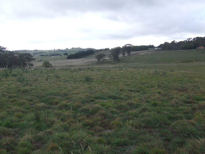 Lot 405 Rose Street, Grabben Gullen NSW 2583