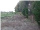 Lot 405 Rose Street, Grabben Gullen NSW 2583