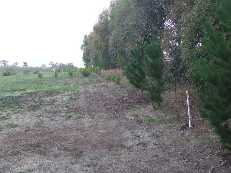 Lot 405 Rose Street, Grabben Gullen NSW 2583