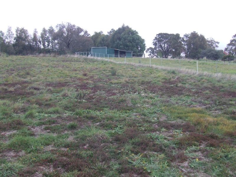 Lot 405 Rose Street, Grabben Gullen NSW 2583
