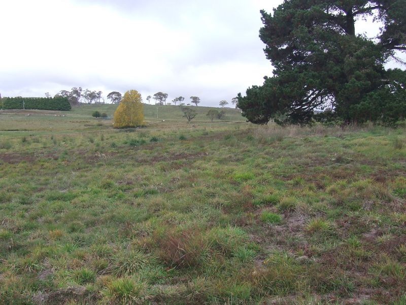 Lot 405 Rose Street, Grabben Gullen NSW 2583