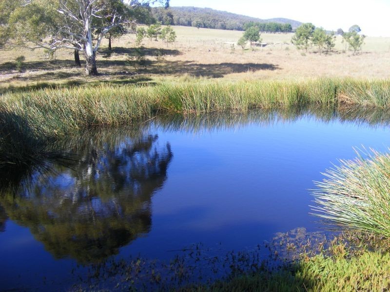 711 Mountain Ash Road, Goulburn NSW 2580