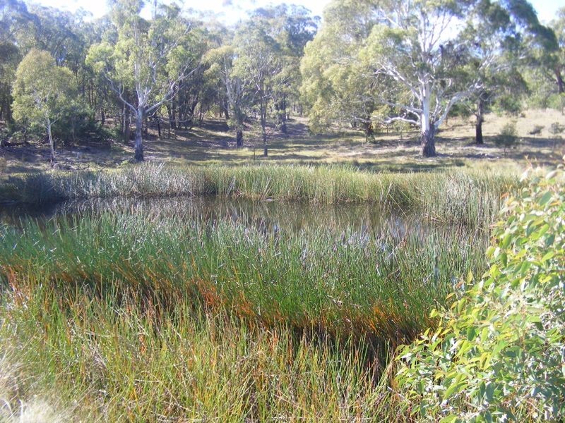 711 Mountain Ash Road, Goulburn NSW 2580